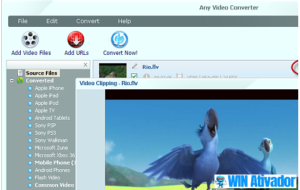 Baixar Any Video Converter 9.0.2 Para Terabru Version 2025