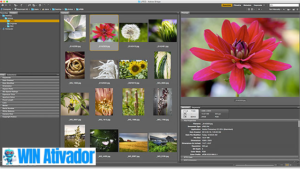 Baixar Adobe Bridge v15.0 Livre Portable windows 2025